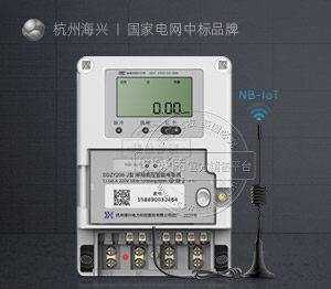 杭州海兴DDZY208-J丨 2级 单相NB-IoT无线预付费智能电表