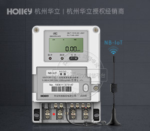 杭州华立DDZY285-J 丨 1级 单相NB-IoT无线预付费智能电表